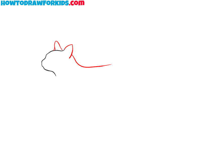 how to draw a realistic cat full body