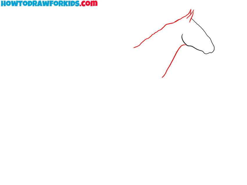 how to draw a realistic horse for beginners