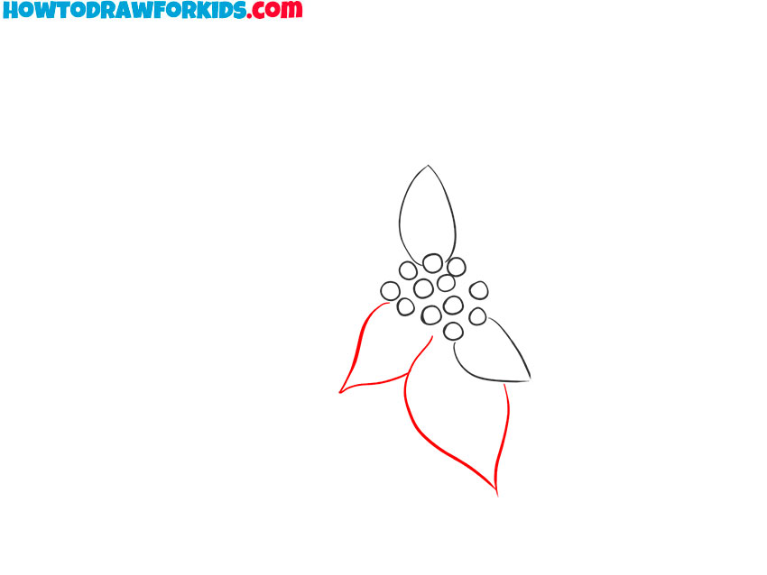 how to draw a poinsettia flower