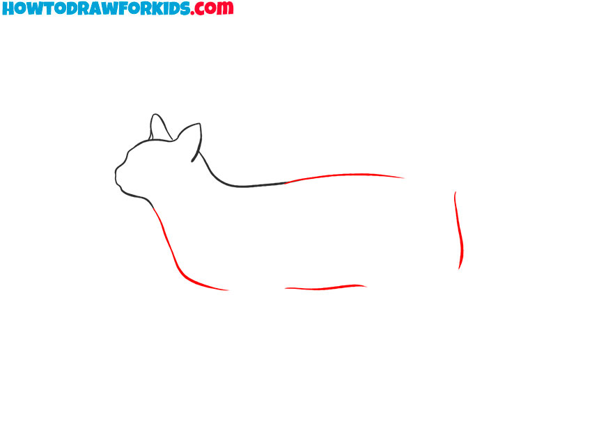 how to draw a realistic cat for beginners