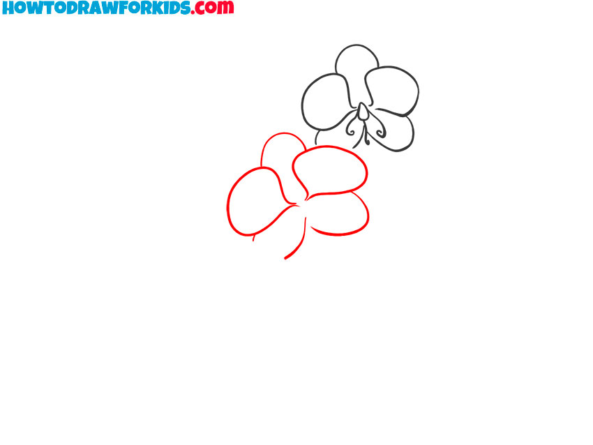 how to draw an orchid plant