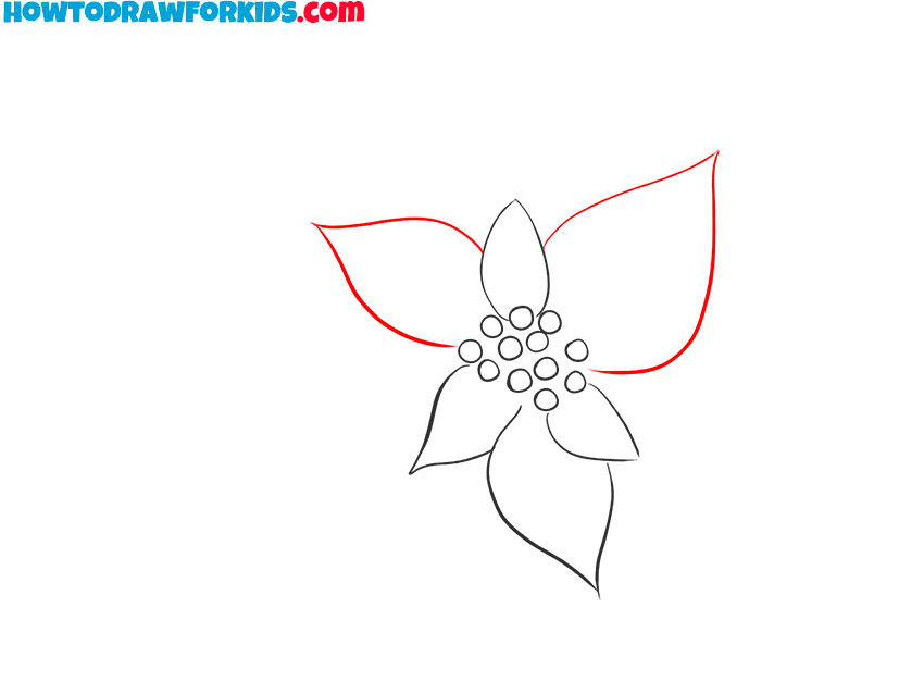 how to draw a simple poinsettia