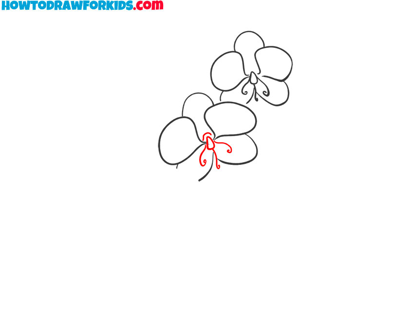 how to draw an orchid very easy