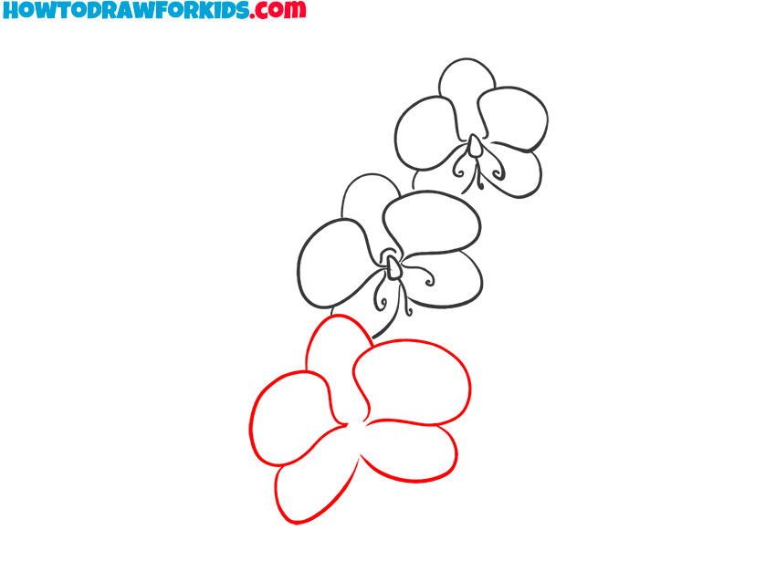 how to draw a cartoon orchid