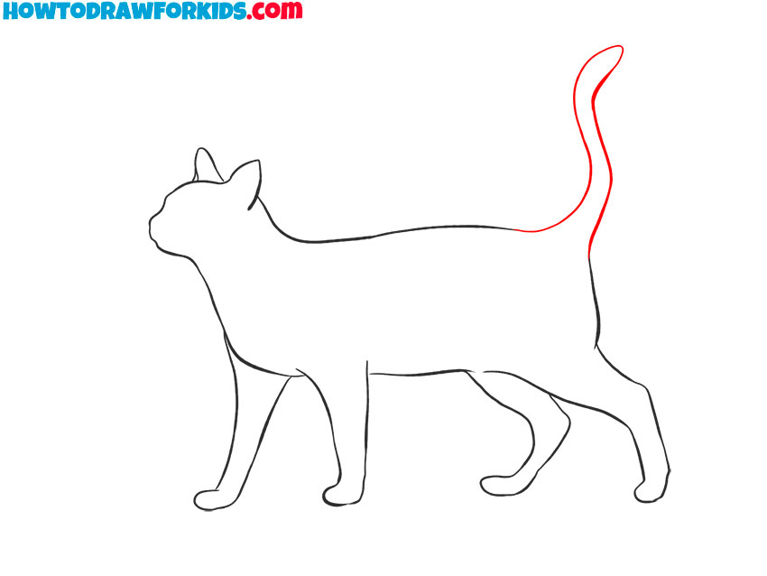 how to draw a realistic cat cute