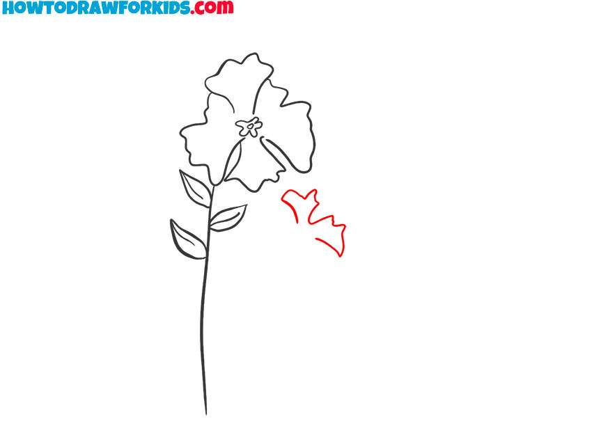 how to draw an iris flower step by step