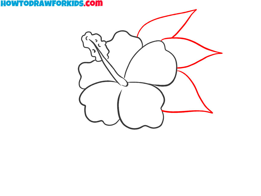how to draw a cartoon hibiscus easy