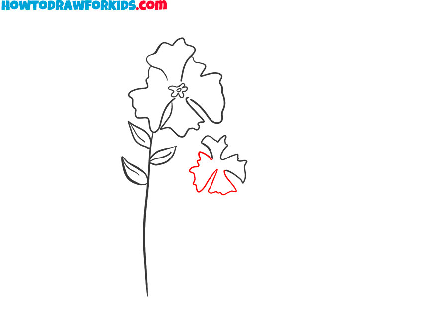 how to draw a realistic iris flower