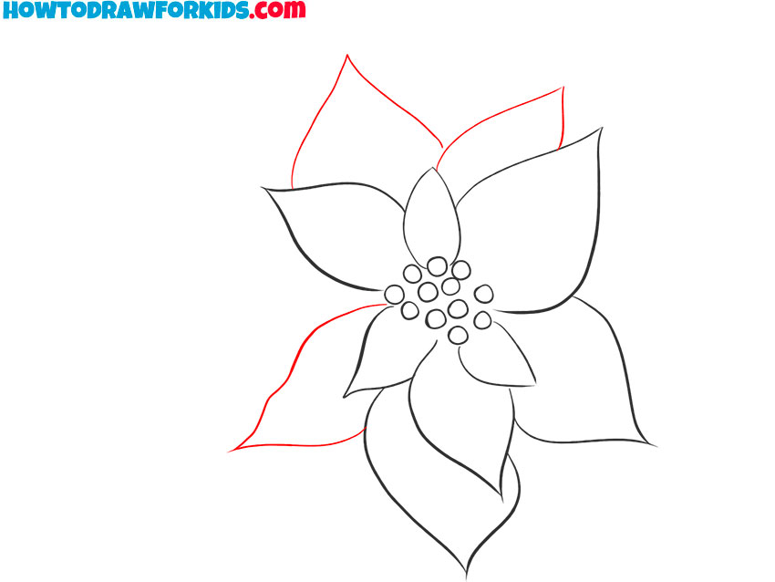 how to draw a realistic poinsettia
