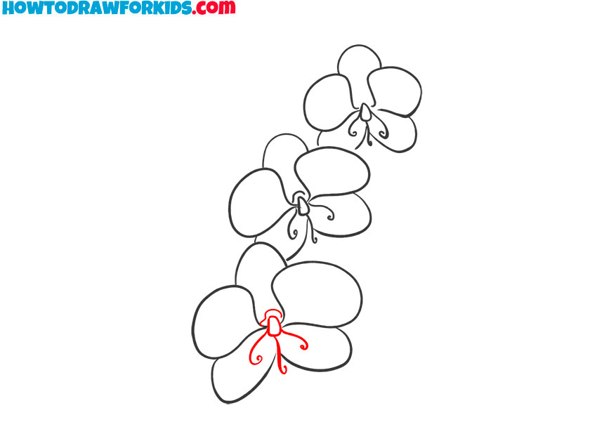 how to draw an orchid flower