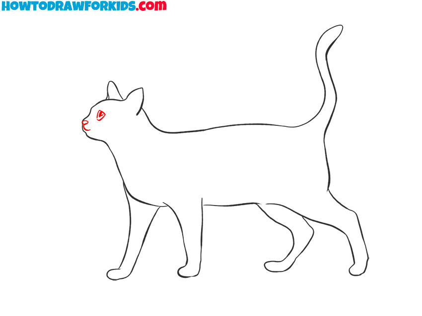 realistic cat drawing tutorial