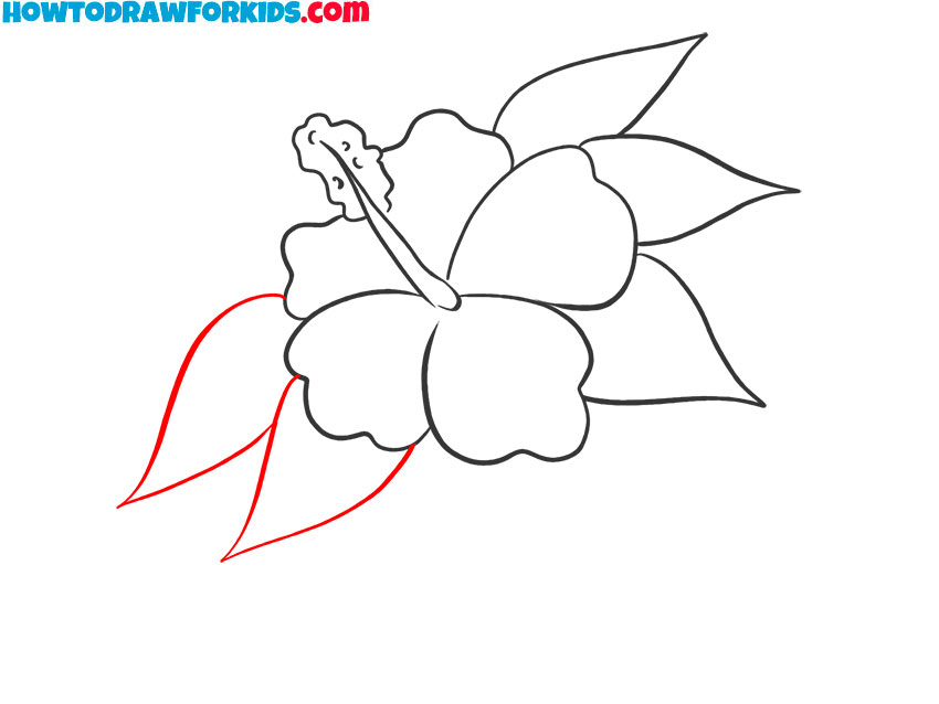 hibiscus drawing for kids