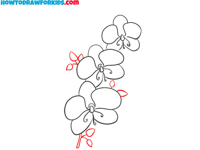 How to Draw an Orchid Easy Drawing Tutorial For Kids