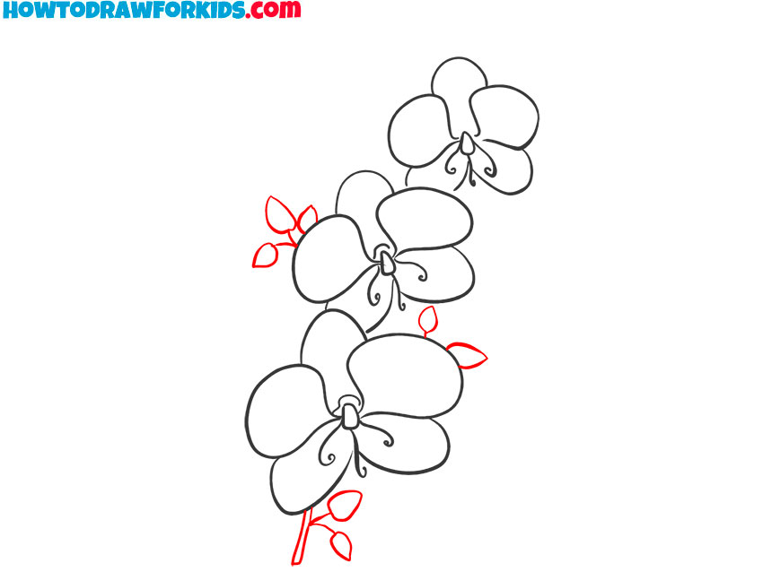 how to draw a simple orchid