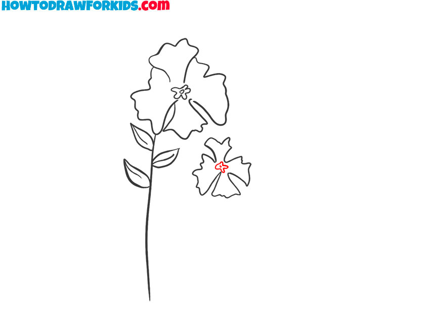 iris flower drawing color