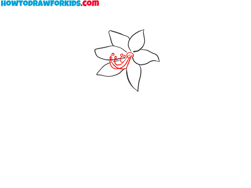 lily flower drawing simple