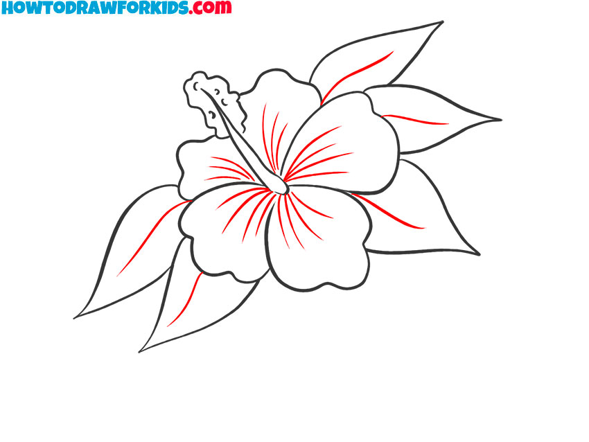 hibiscus drawing tutorial
