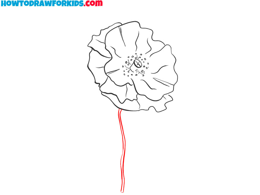 how to draw a cute poppy flower