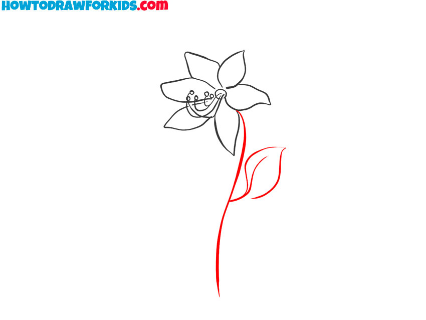 lily flower drawing art