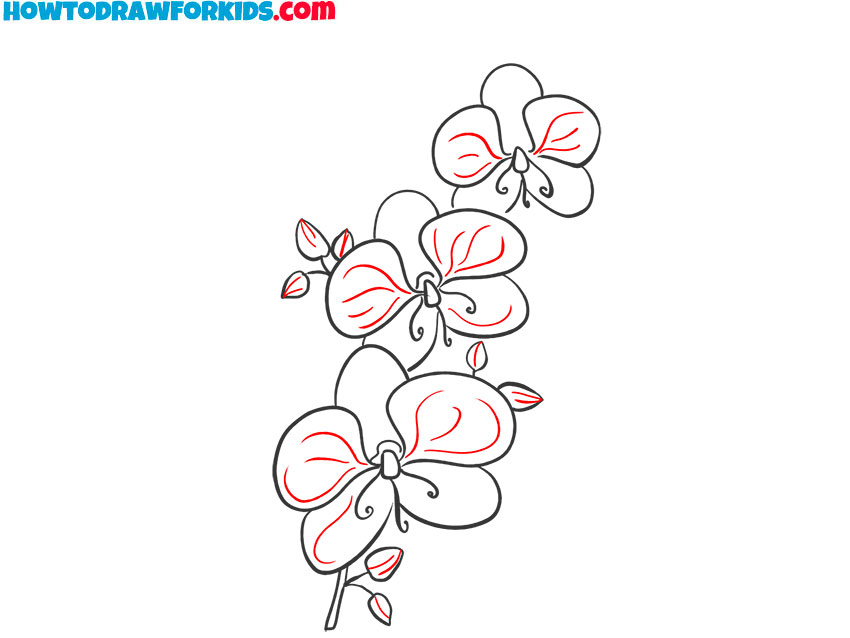 orchid drawing simple