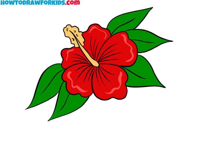 How to Draw a Hibiscus Easy Drawing Tutorial For Kids