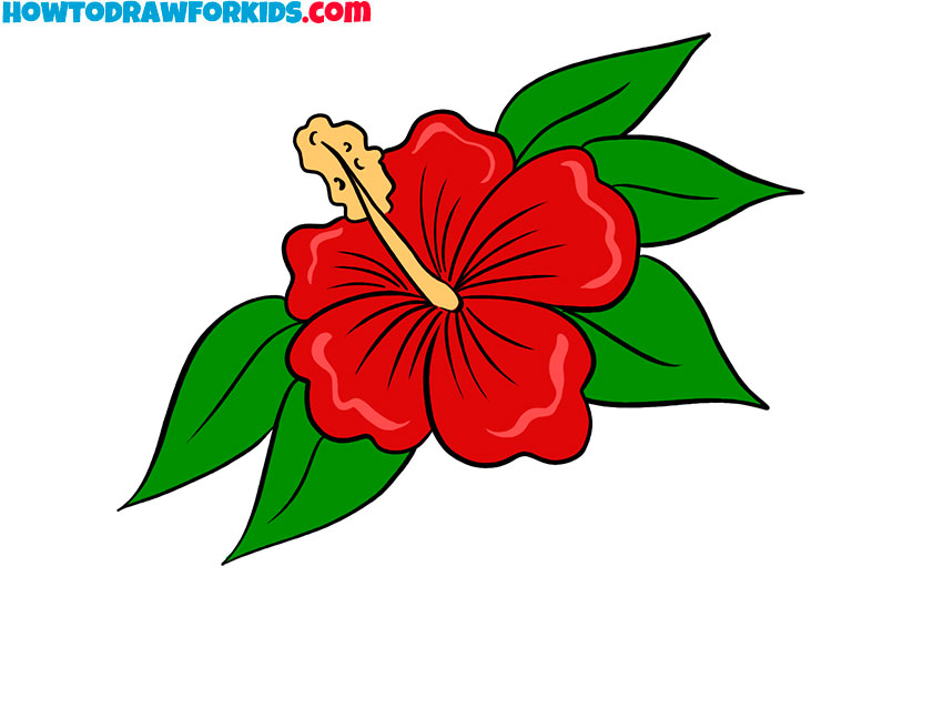 hibiscus drawing cartoon