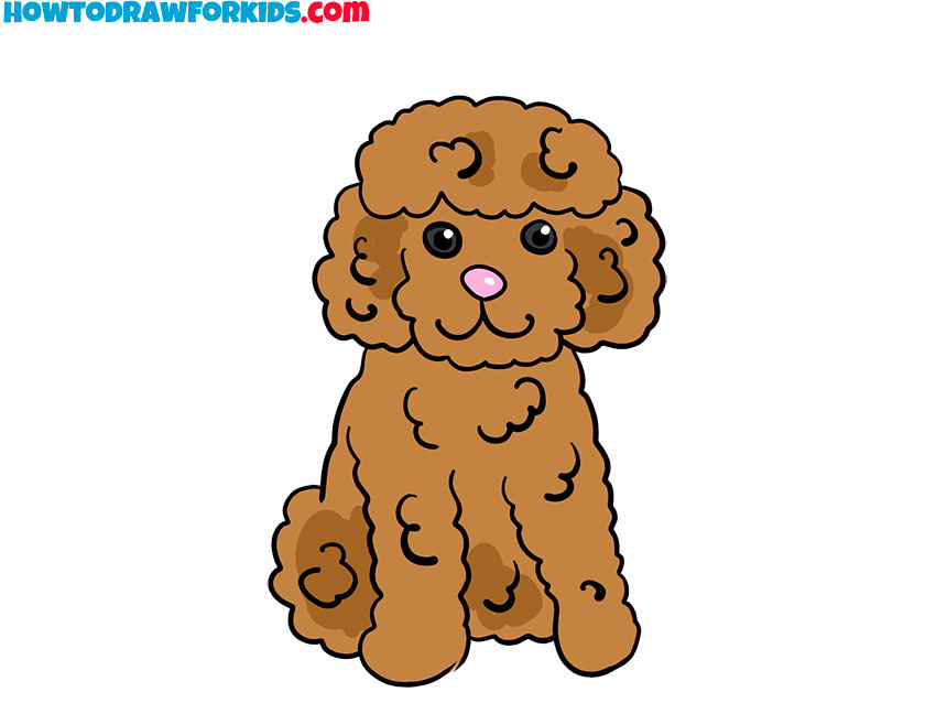 how to draw a poodle dog step by step