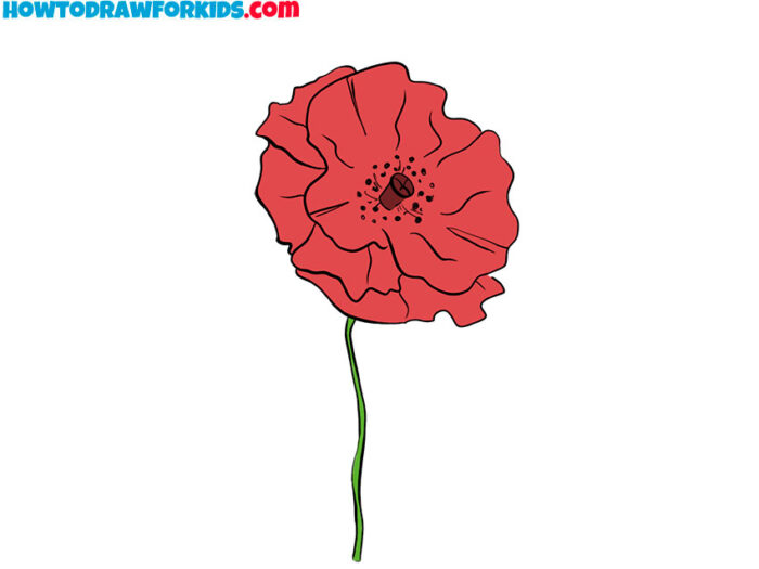 How to Draw a Poppy Flower - Easy Drawing Tutorial For Kids