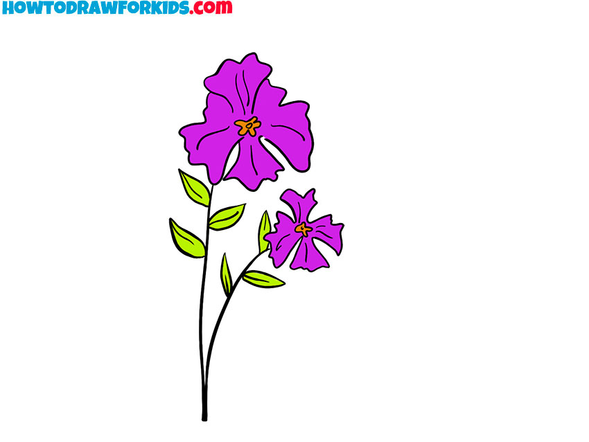iris flower drawing lesson for kids