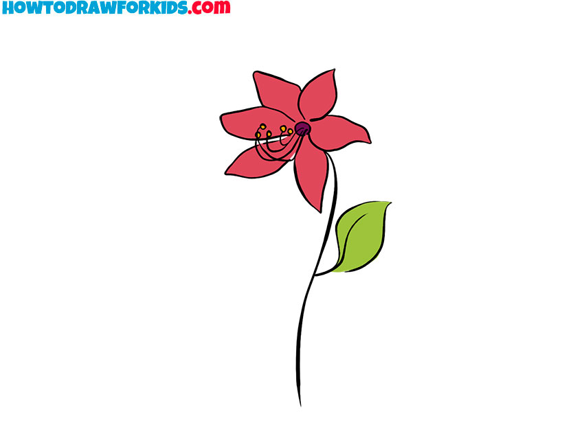 lily flower drawing for beginners