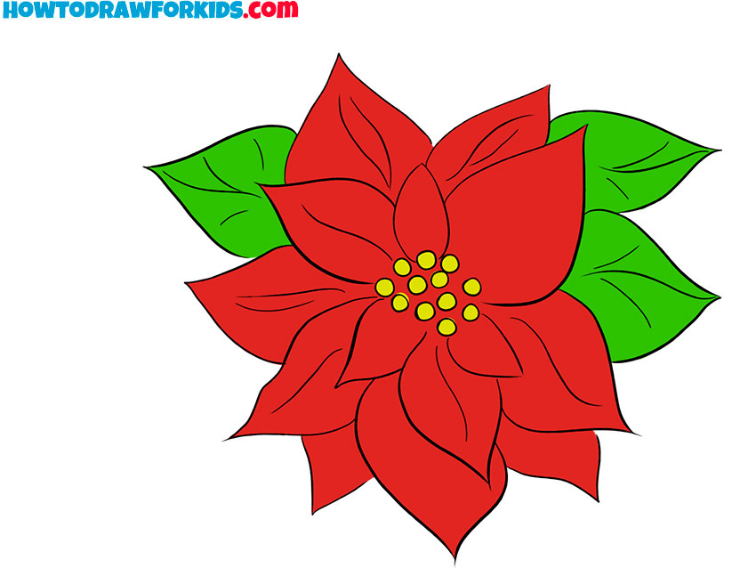 poinsettia drawing step by step