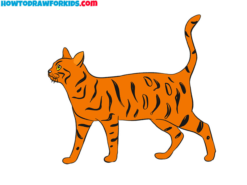 how to draw a cat easy realistic