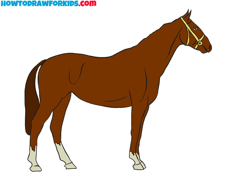 realistic simple horse drawing