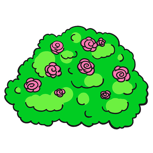 rose bush drawing