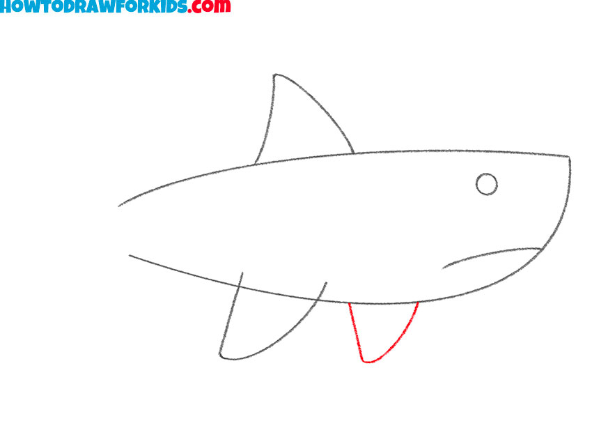 a shark drawing guide