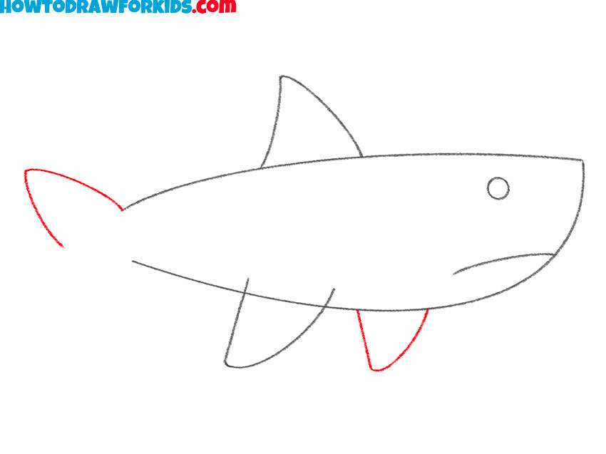 a shark drawing tutorial