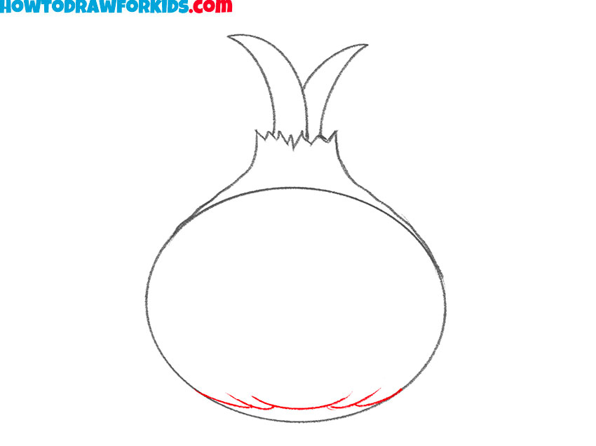 an onion drawing guide
