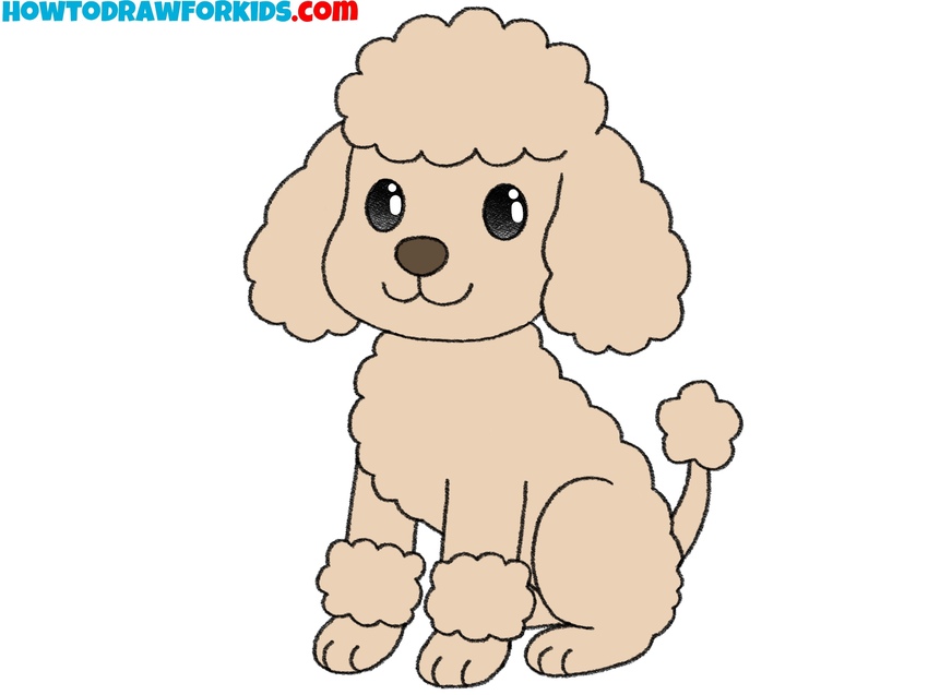 Add color to the poodle