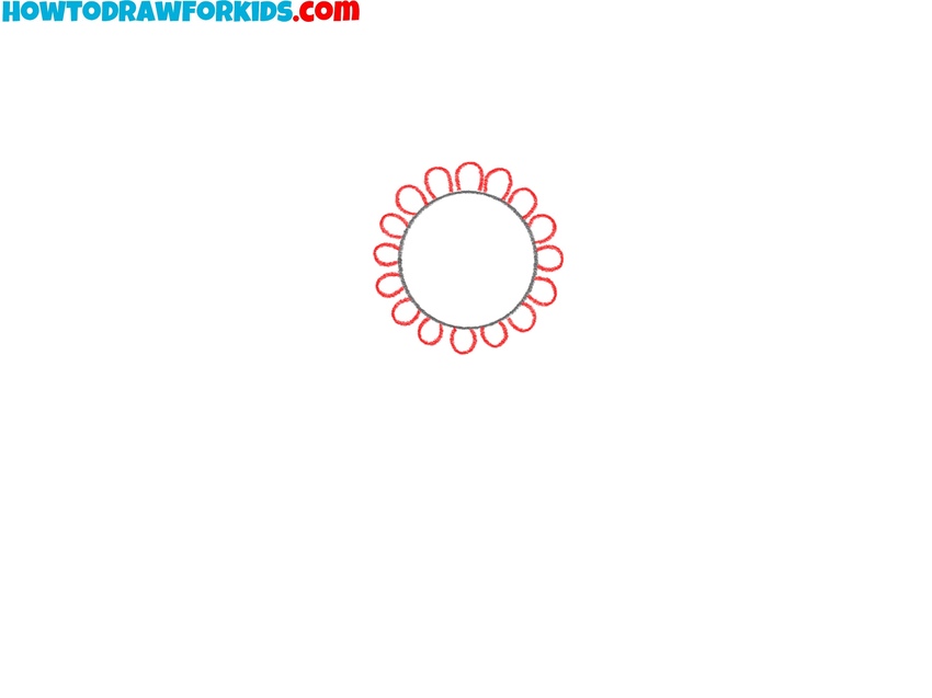 Sketch the stamen ring