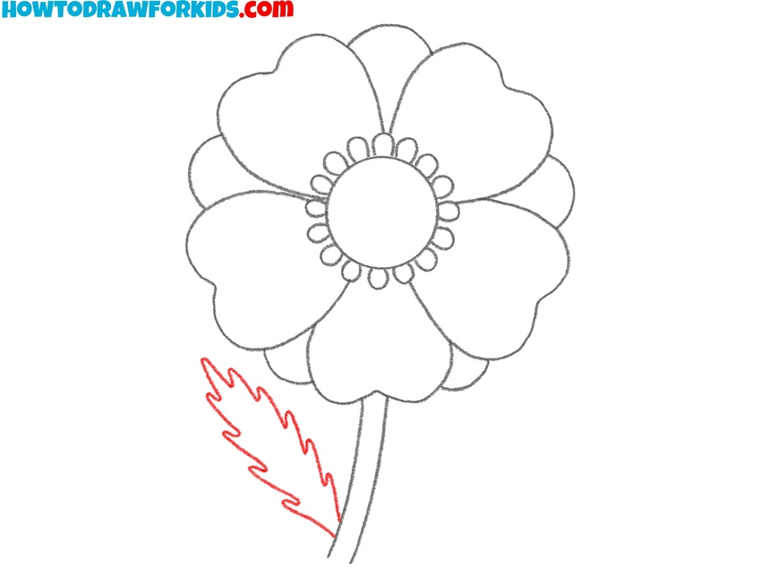 Draw the flower’s leaf