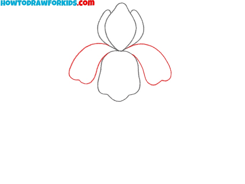 Add the bottom side petals
