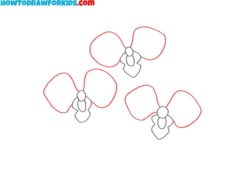 Draw the orchid side petals