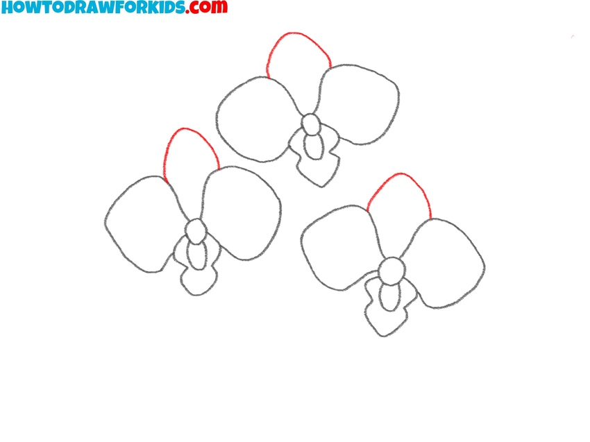 Illustrate the top flower petals