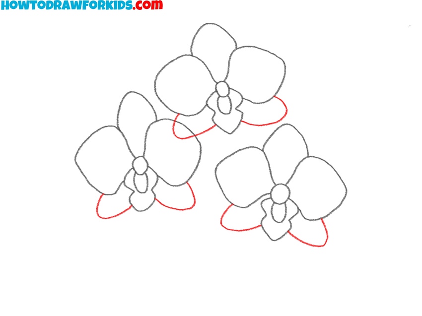 Form the lower petal group