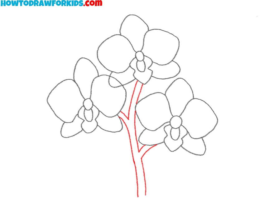 Draw the orchid stem