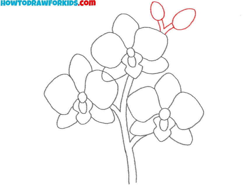 Draw the unopened blooms