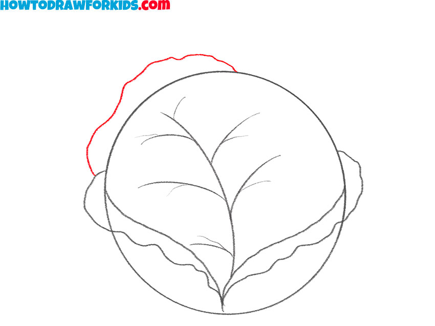 easy way ro draw a cabbage