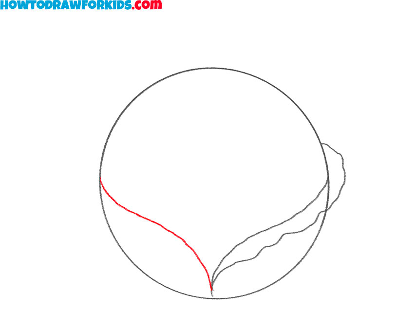 how to draw a cabbage for kids easy