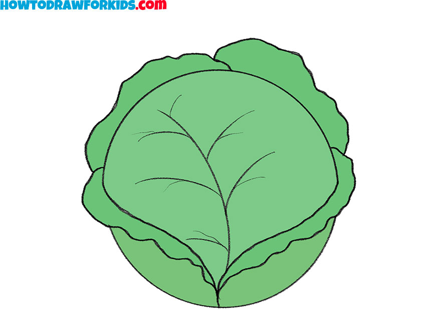 how to draw a cabbage for kids step by step