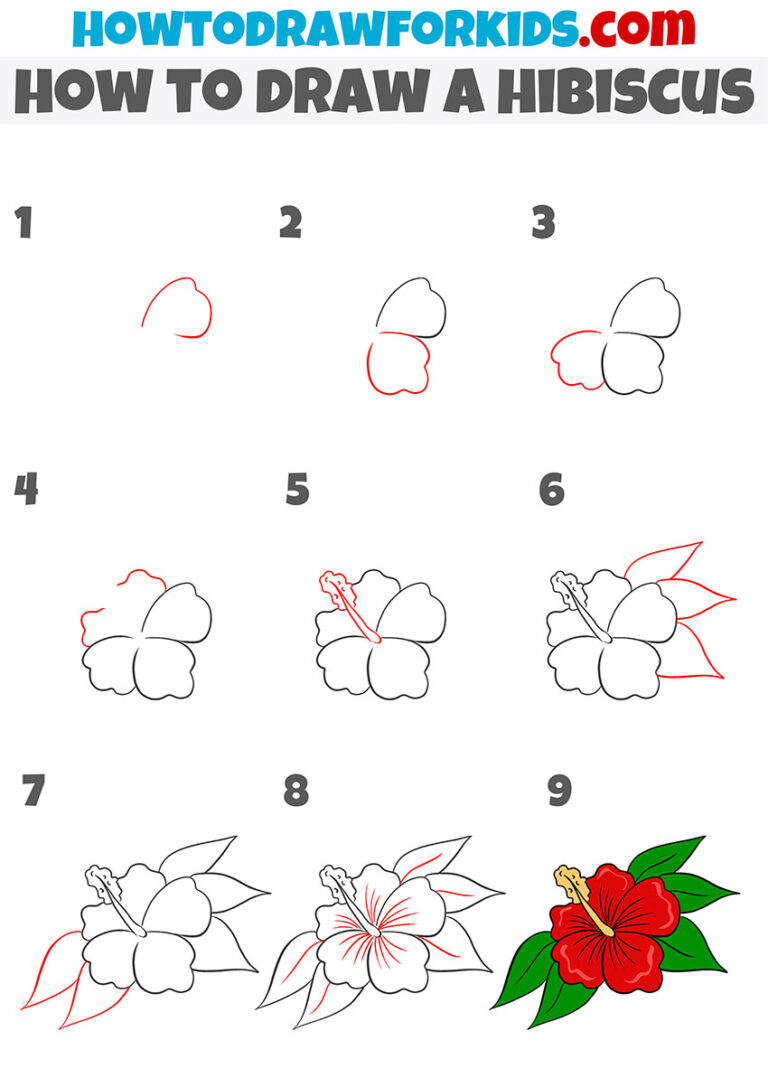 How to Draw a Hibiscus - Easy Drawing Tutorial For Kids